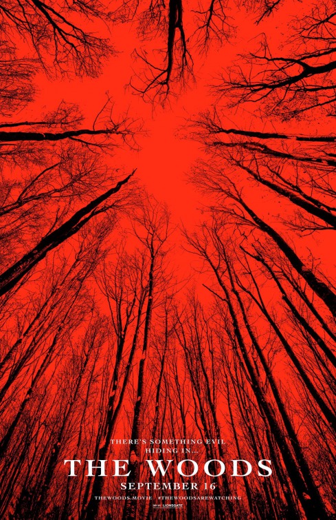 Blair Witch (2016) original theatrical movie poster - Advance Style B