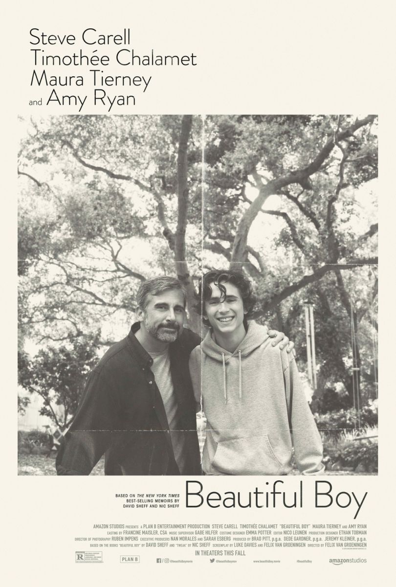 Beautiful Boy (2018) original theatrical movie poster - Style A