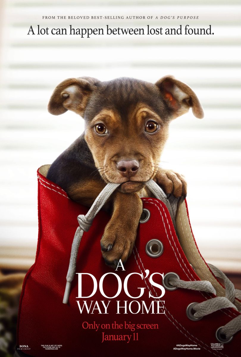 A Dog's Way Home (2019) original theatrical movie poster - Final