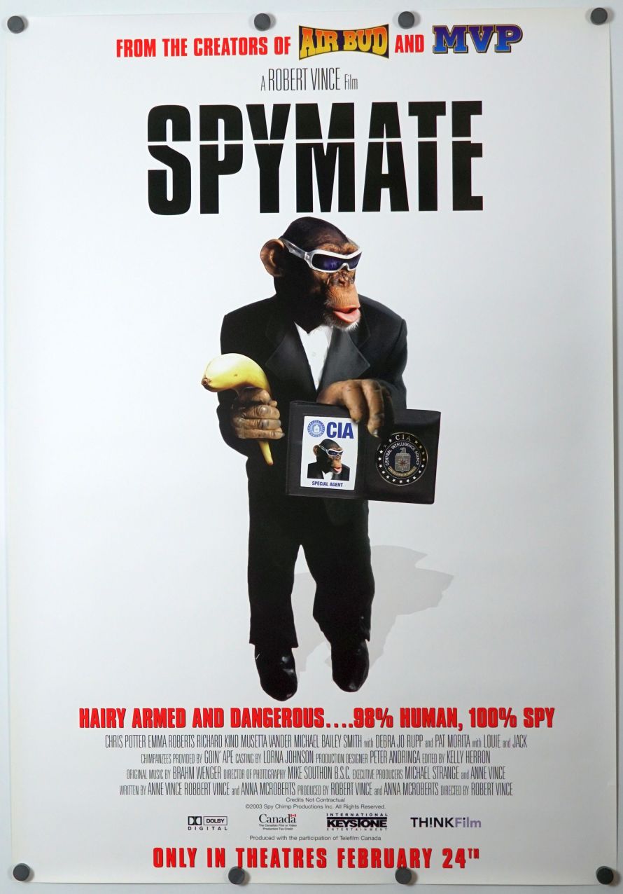 Spymate (2003) original theatrical movie poster - Final