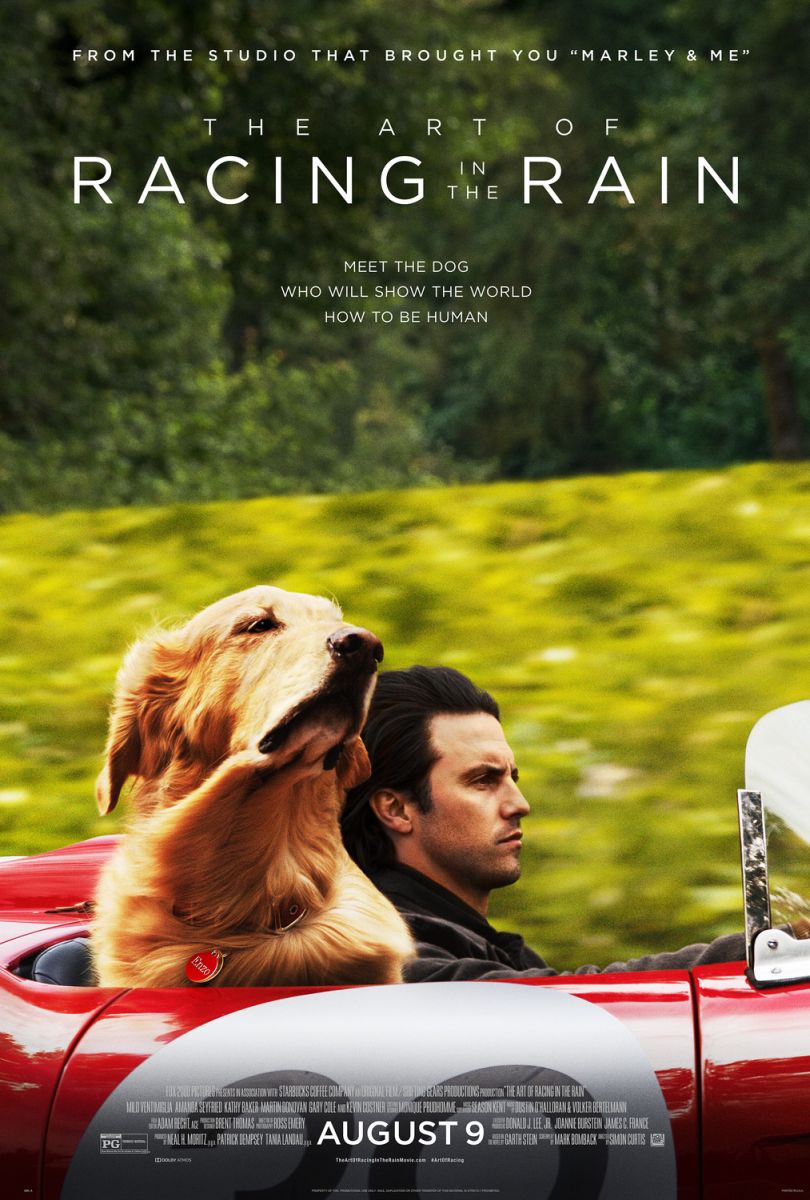 The Art of Racing in the Rain (2019) original theatrical movie poster - Final