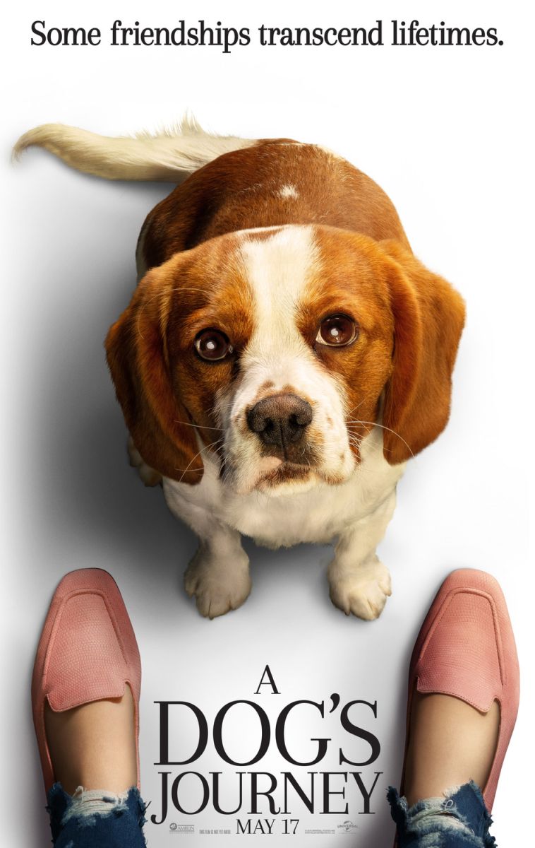A Dog's Journey (2019) original theatrical movie poster - Advance