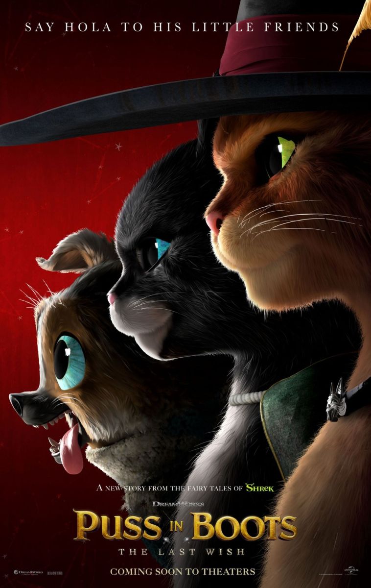 Puss in Boots: The Last Wish (2022) original theatrical movie poster - Advance