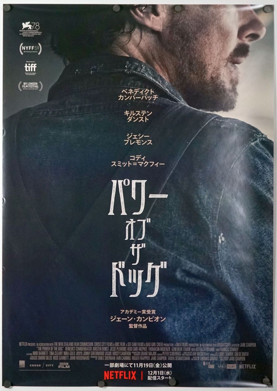 The Power of the Dog (2021) original theatrical movie poster - Advance