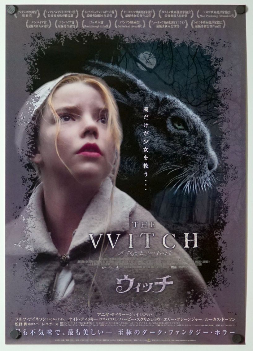 The Witch (2017) original theatrical movie poster - Final
