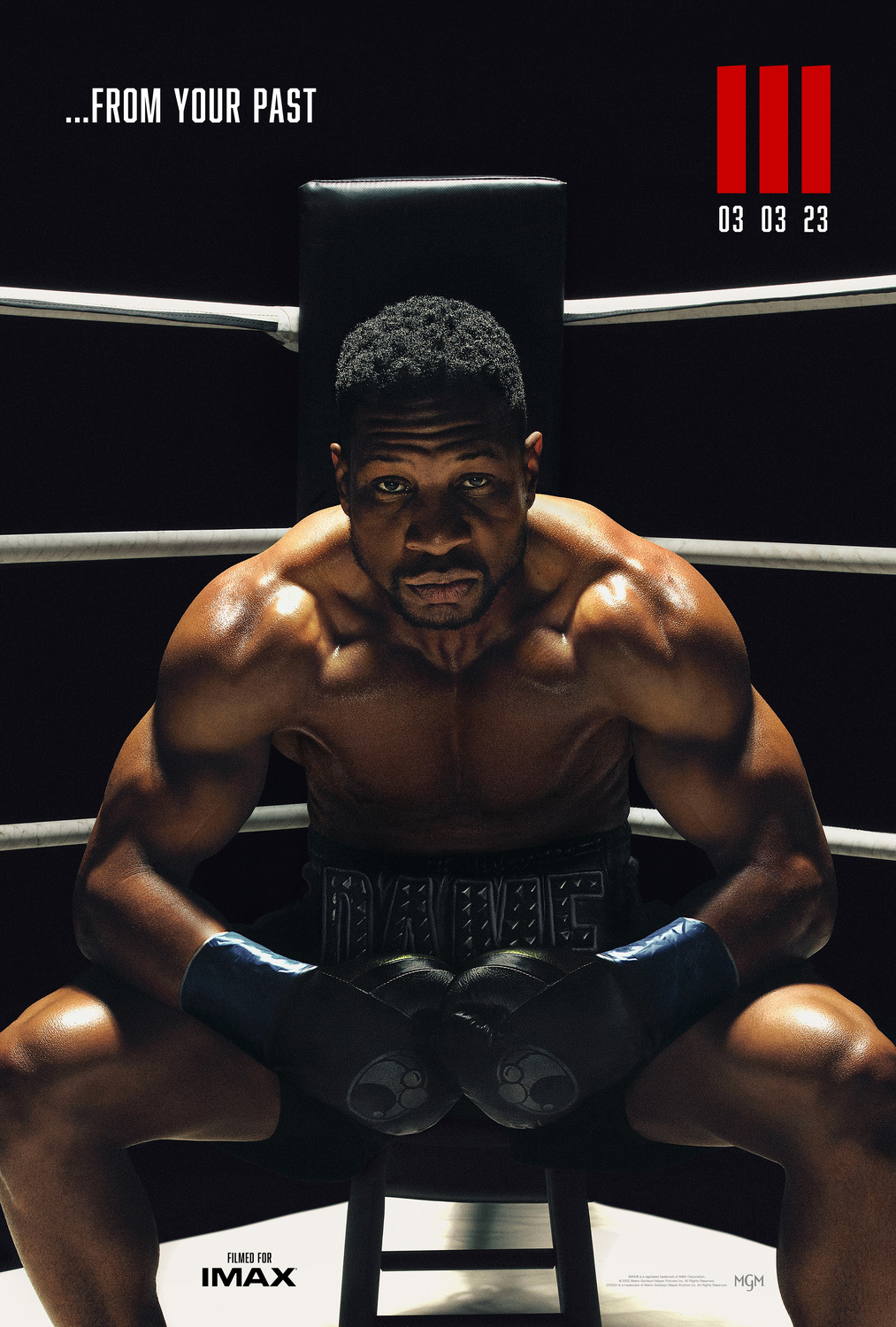 Creed III (2023) original theatrical movie poster - Advance Style B