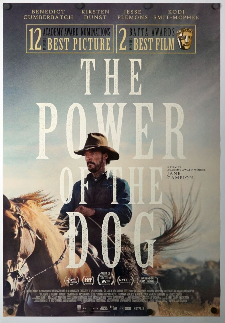 The Power of the Dog (2021) original theatrical movie poster - Final