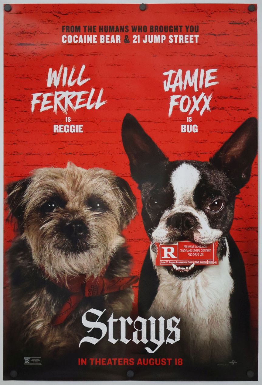 Strays (2023) original theatrical movie poster - Final