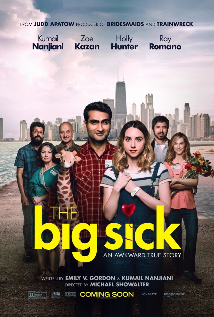 The Big Sick (2017) original theatrical movie poster - Final