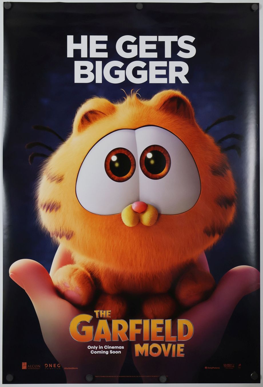The Garfield Movie (2024) original theatrical movie poster - International Advance