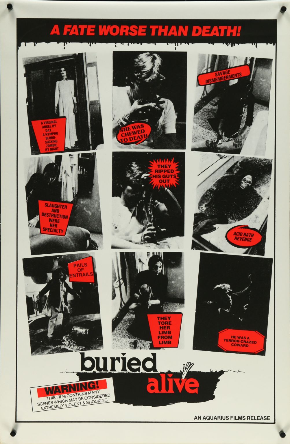 Beyond the Darkness (1984) original theatrical movie poster - Final