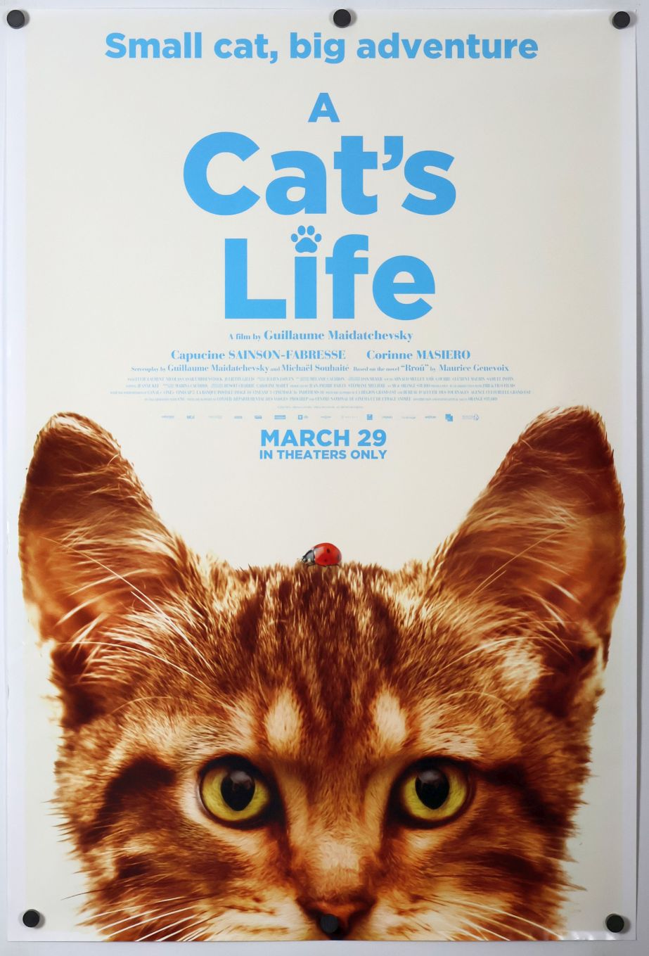 A Cat's Life (2024) original theatrical movie poster - Final
