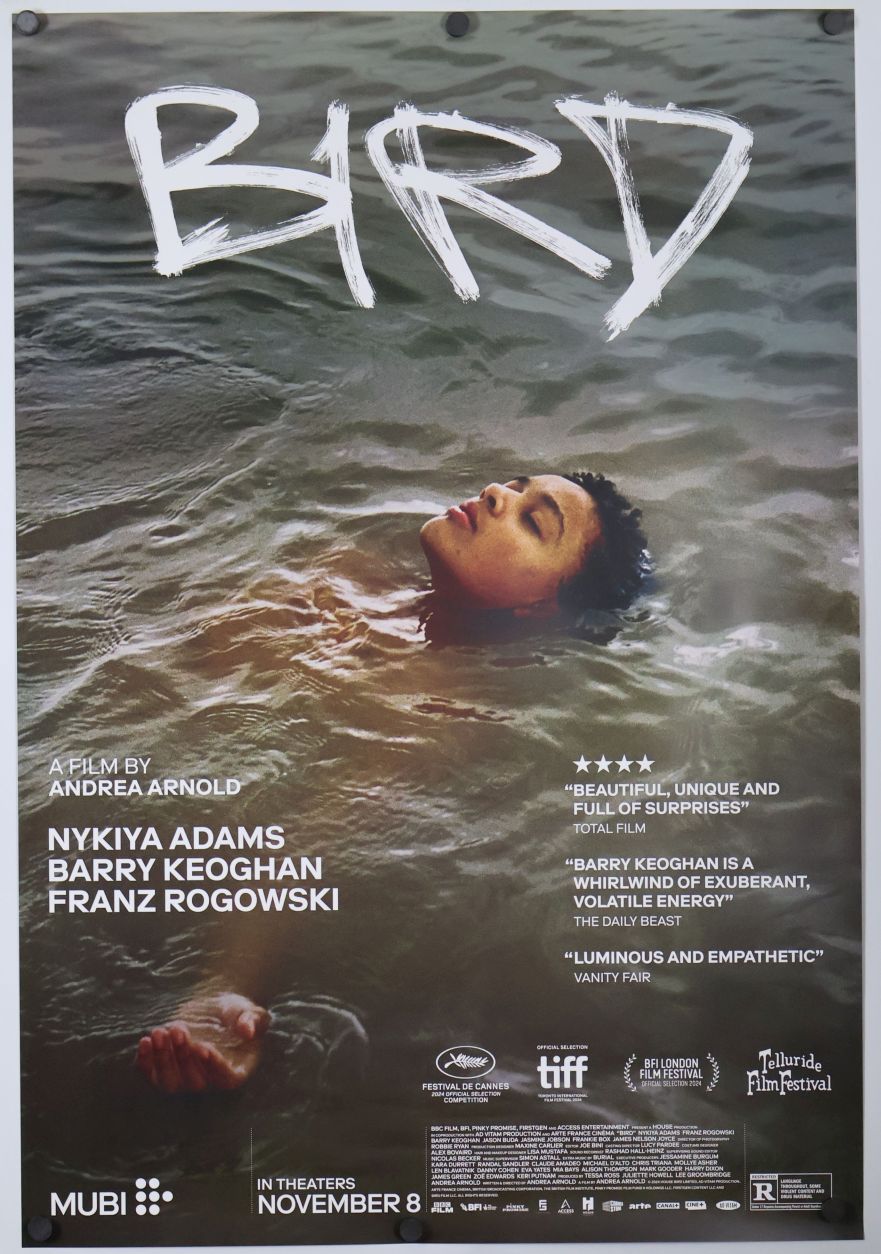 Bird (2024) original theatrical movie poster - Final