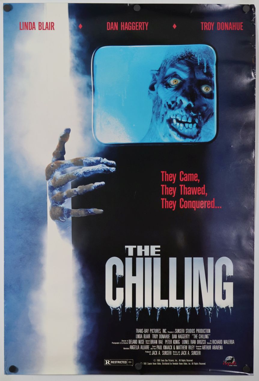 The Chilling (1989) original theatrical movie poster - Video