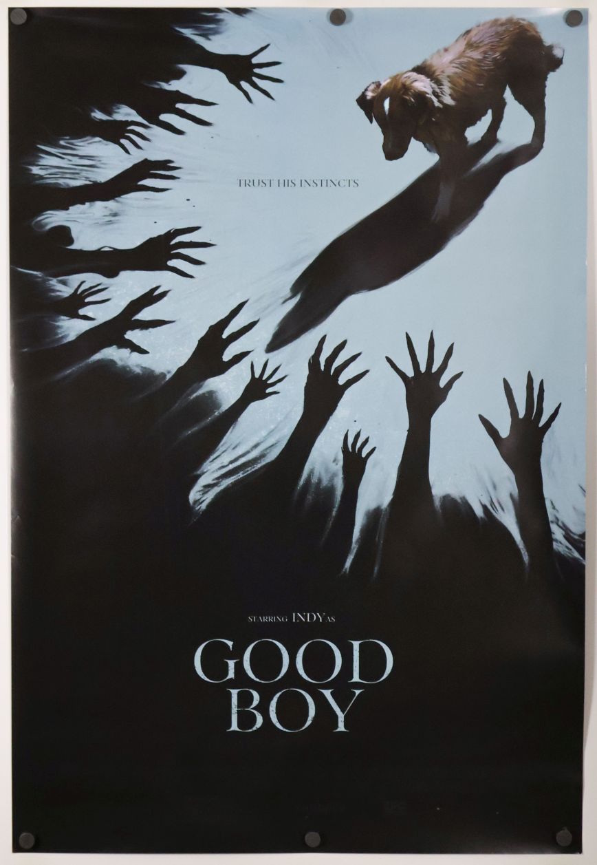 Good Boy (2025) original theatrical movie poster - Final