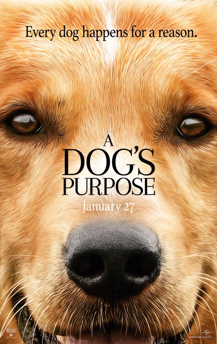 A Dog's Purpose (2017) original theatrical movie poster - Advance